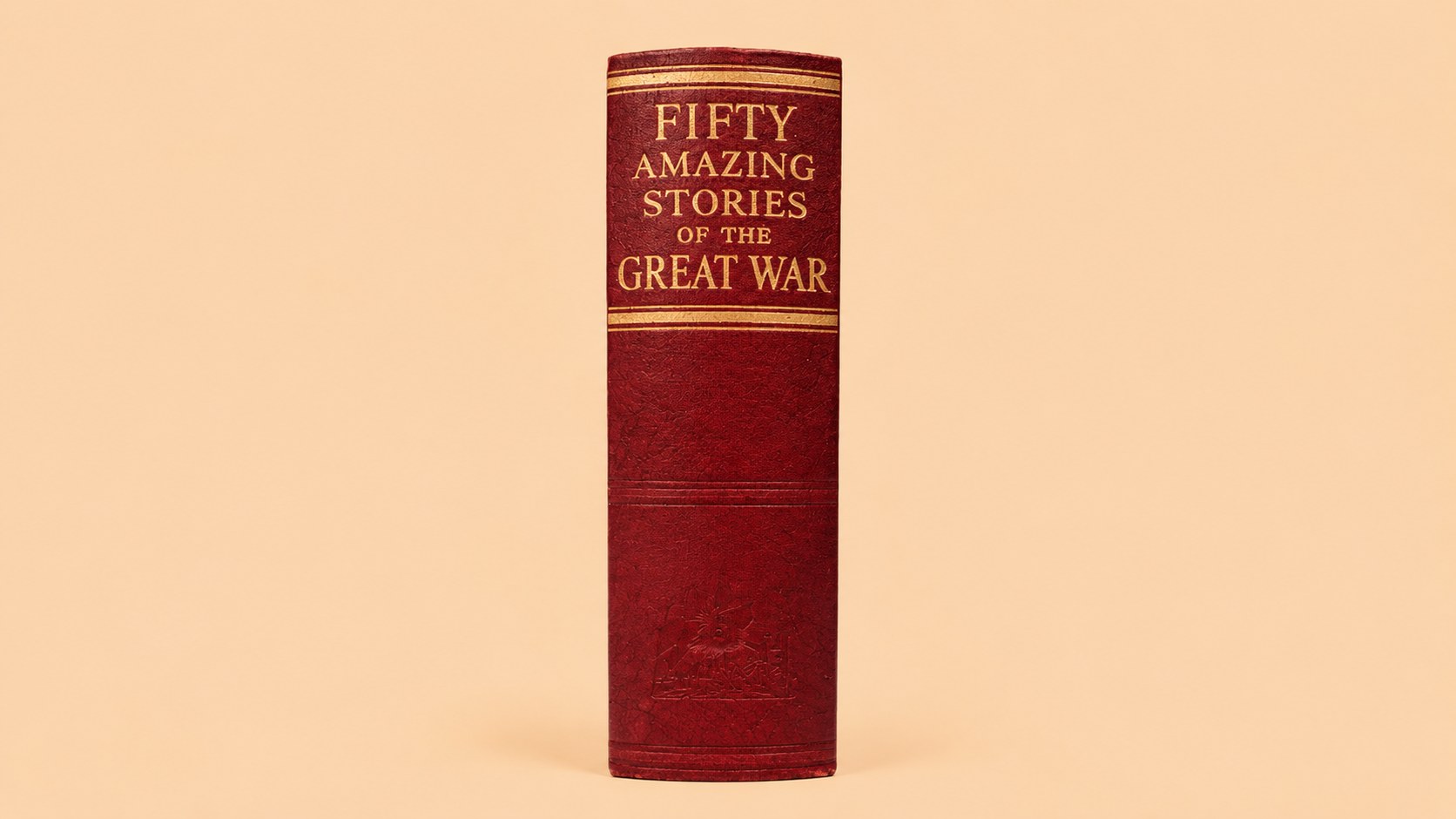 Fifty Amazing Stories of the Great War — view 3