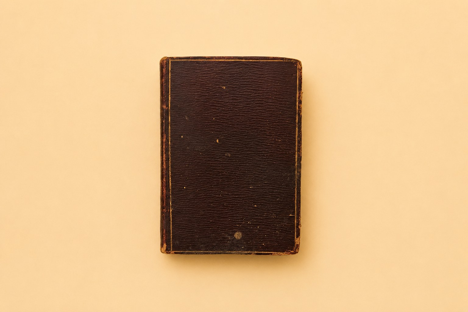 Pietas Quotidiana: Prayers & Meditations — view 2
