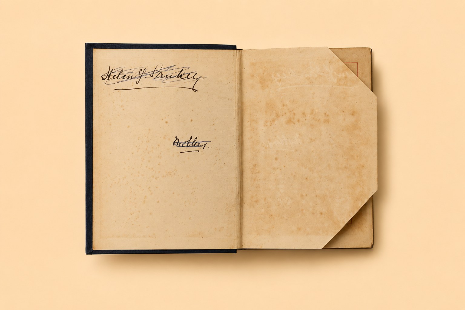 Song-Tide — view 3